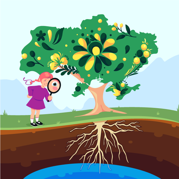 Україна на карті, її ресурси та природні зони